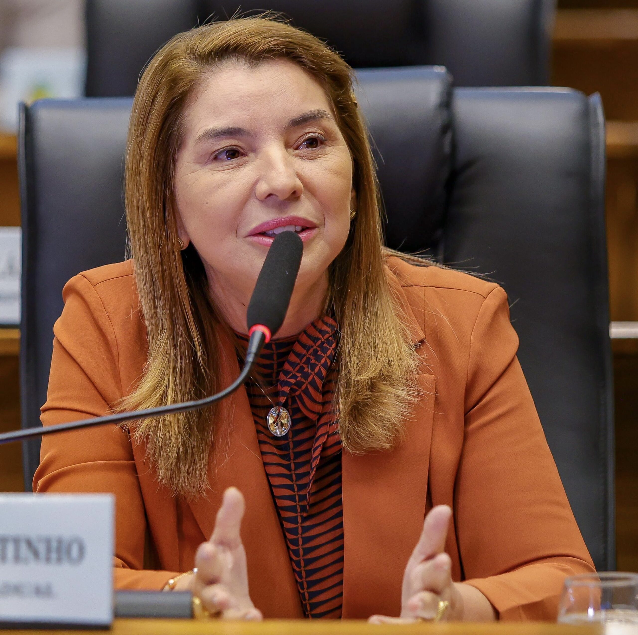 Partido se faz é com gente, com político e com voto. E isso nós temos”, afirma Iracema Vale sobre mudanças no PSB